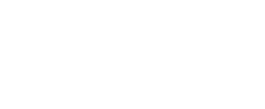 Ceritadata Logo Light